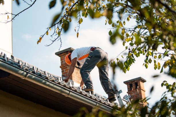 Best Roof Restoration Services  in Wesson, MS