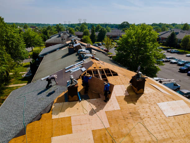 Best Flat Roof Repair Services  in Wesson, MS