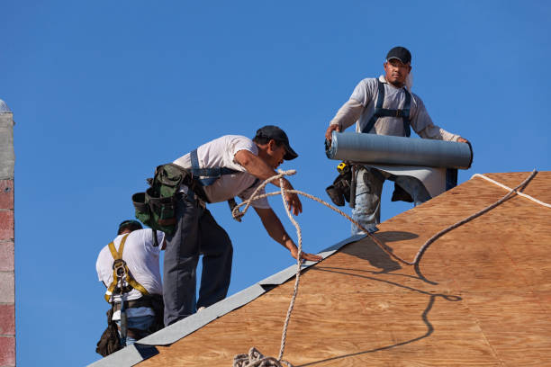 Best Roof Gutter Cleaning  in Wesson, MS