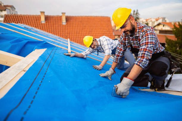 Best Shingle Roofing Installation  in Wesson, MS