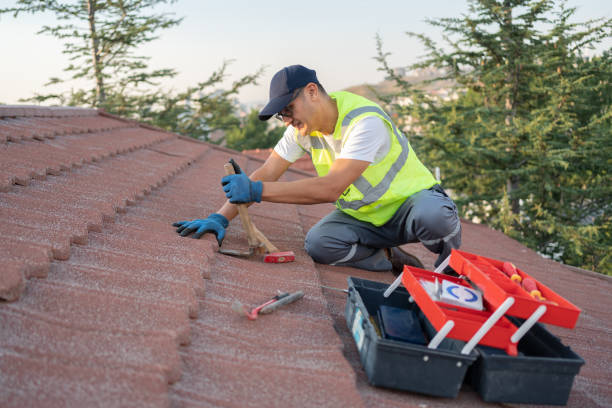 Gutter Installation and Roofing in Wesson, MS